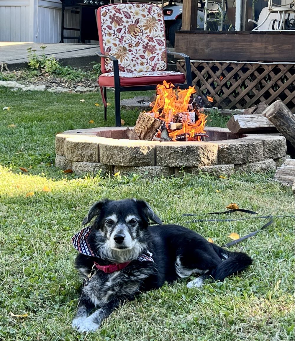 Bayerisches Vollbier Erl Hell - Bayerisches Vollbier alcohol collectible - Main Image 3