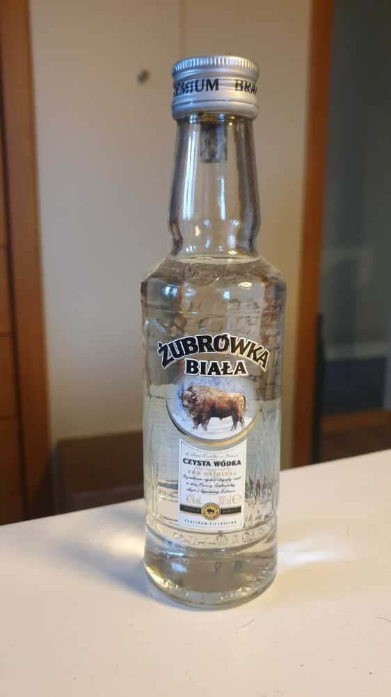 Torani Syrup Peppermint