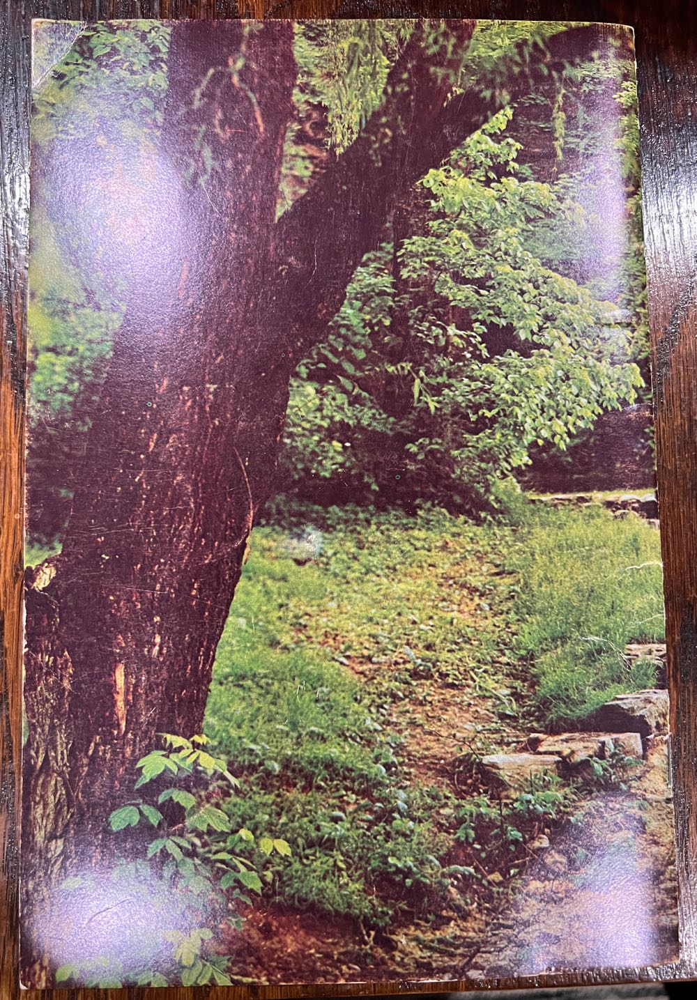 JD Add 3 - Jack Daniel’s Distillery, Lynchburg, TN alcohol collectible - Main Image 2