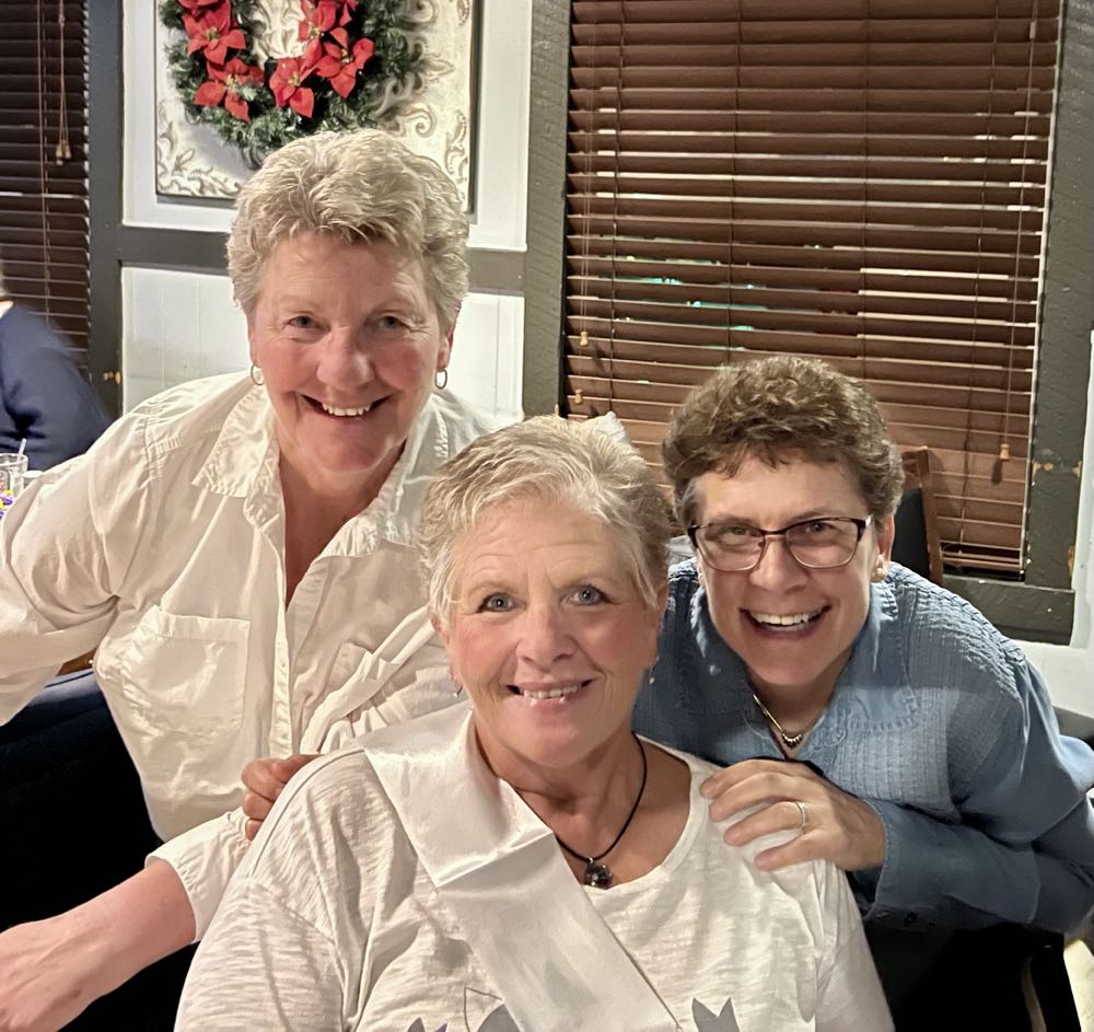 Goose Island IPA - Goose Island Beer Company, Chicago alcohol collectible - Main Image 2