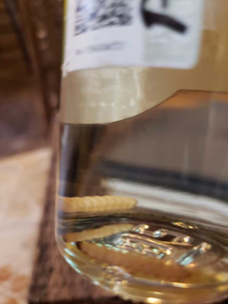 Dos Gusanos Agave - Destilado (250 mL) alcohol collectible [Barcode 7501021500386] - Main Image 3