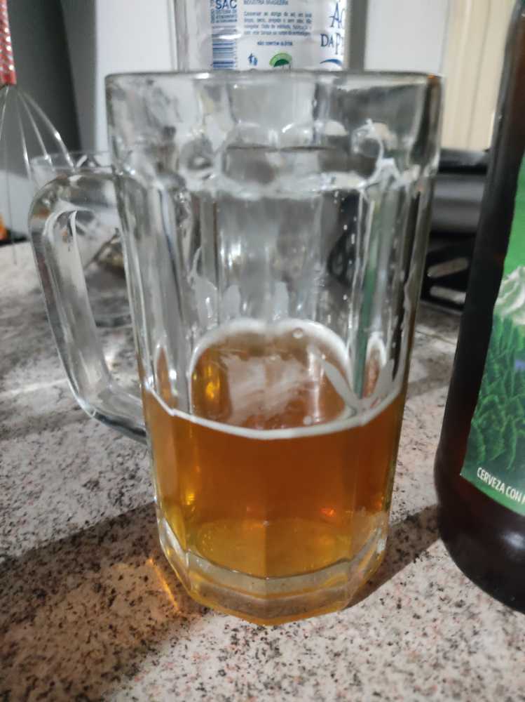 Cerveza Patagonia 24.7 730cc 730 Ipa Ml Km Con Sauco Cc. - Patagonia (730 mL) alcohol collectible [Barcode 7792798002399] - Main Image 3