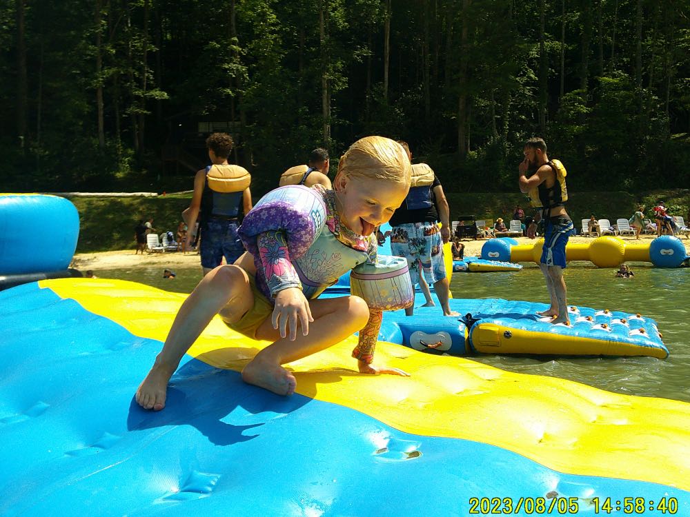 Freefolk Berry The Hatchet American Wheat - Freefolk Brewery, Fayetteville alcohol collectible - Main Image 4