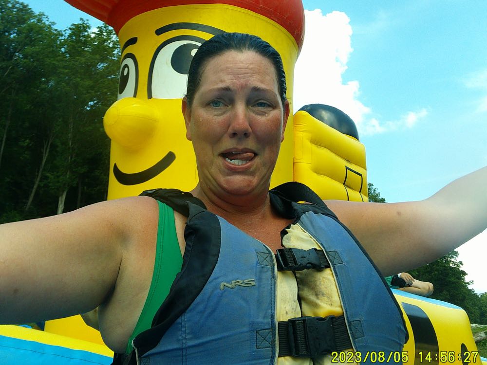 Freefolk Trucker Speed IPA - Freefolk Brewery, Fayetteville alcohol collectible - Main Image 3