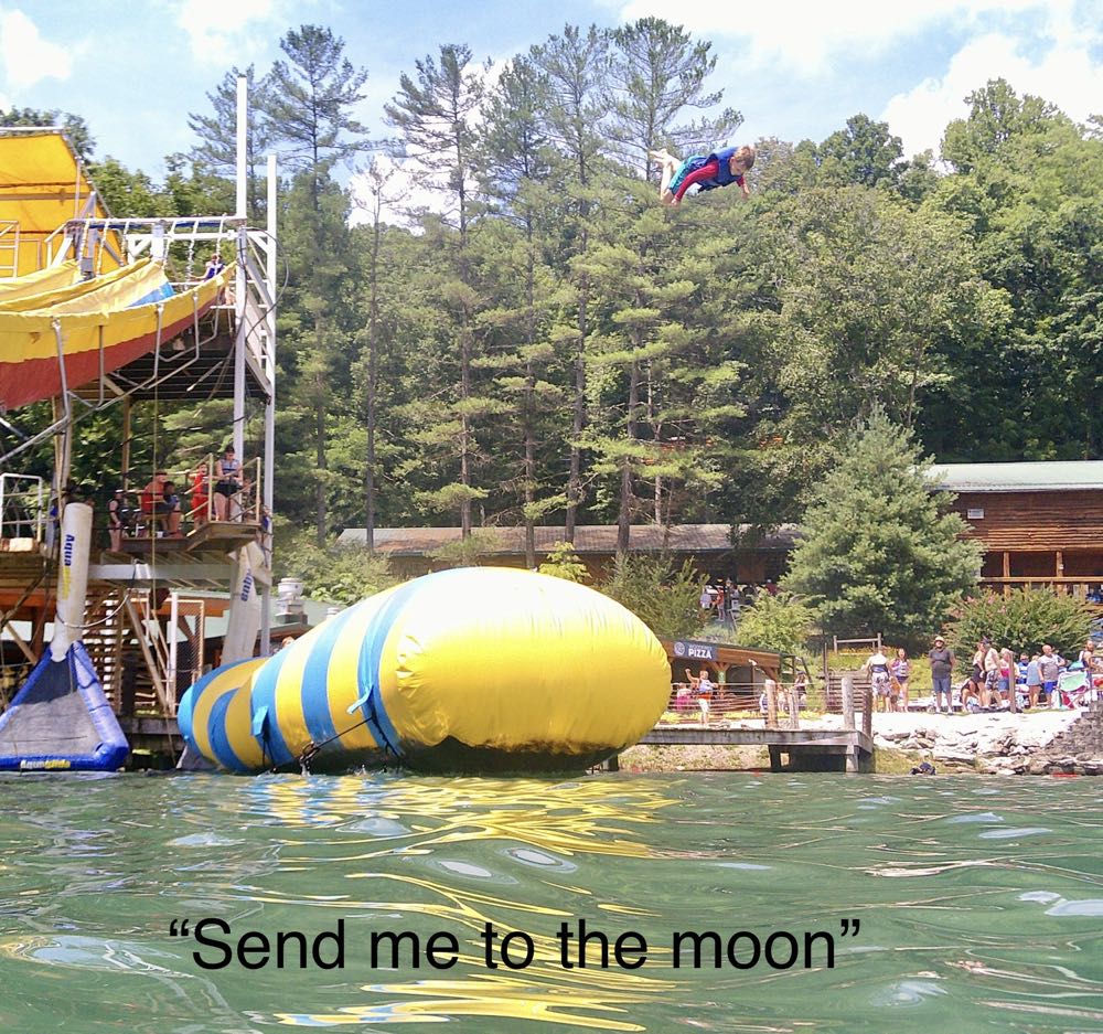 Bad Shepherd Shot Caller Belgian Amber - Bad Shepherd Beer Company, Charleston alcohol collectible - Main Image 4