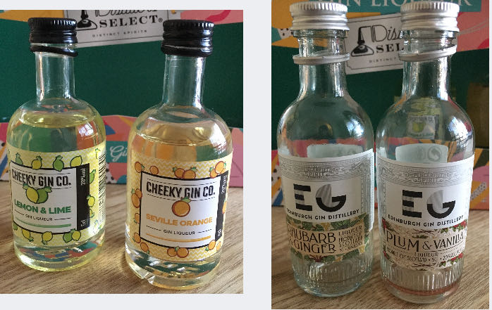 Distillers Select Gin Liqueur 4x 50ml Set  (50 mL) alcohol collectible [Barcode 5060473546233] - Main Image 3