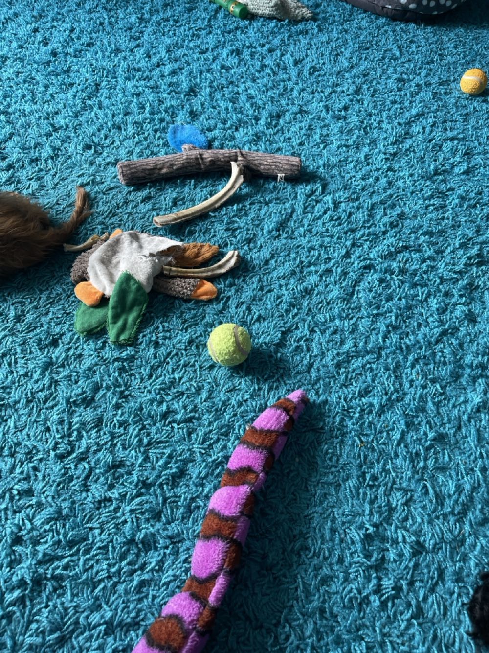 Stag’s Leap FAY Hillside