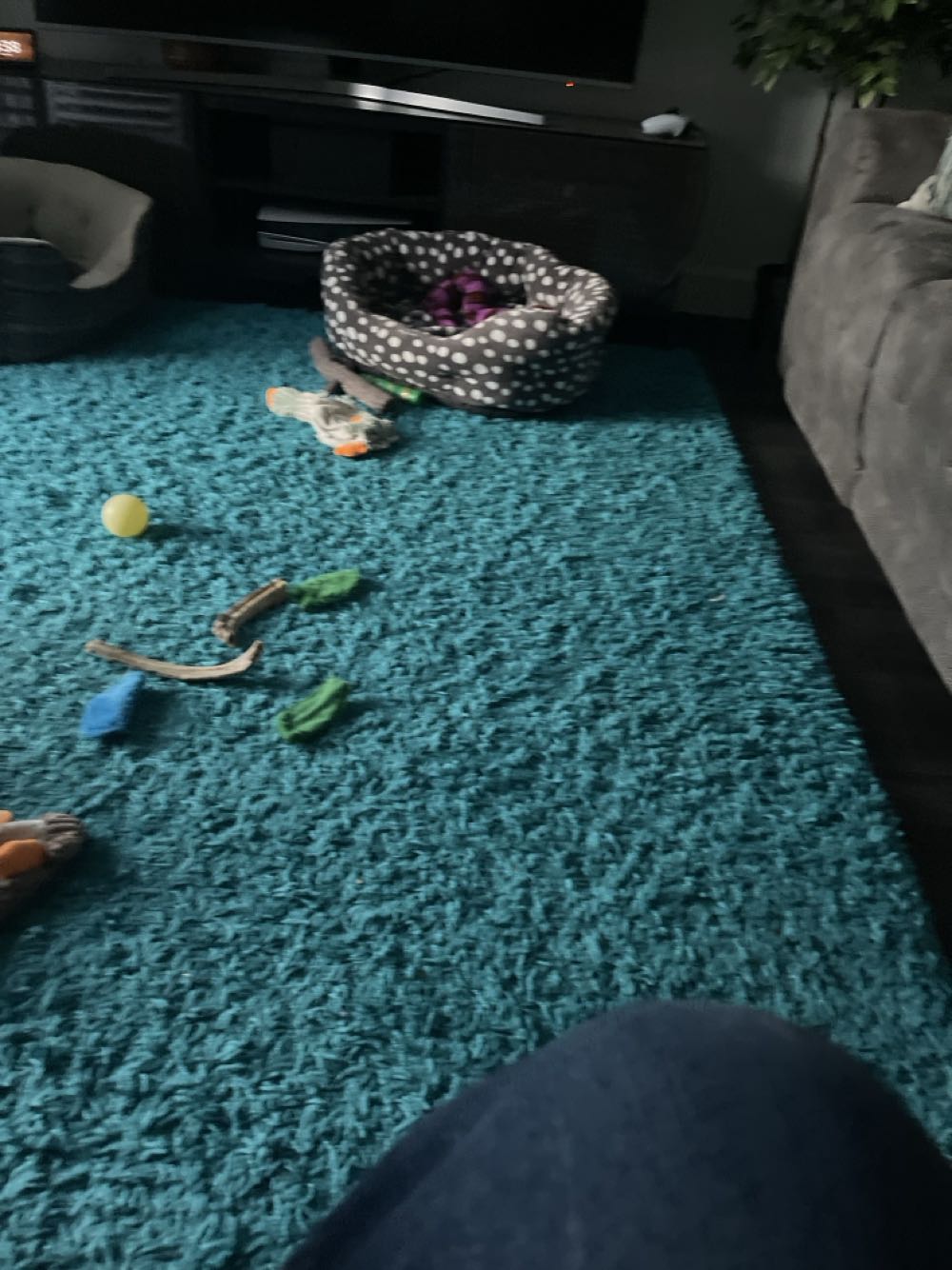 Svyturys Ekstra Draught