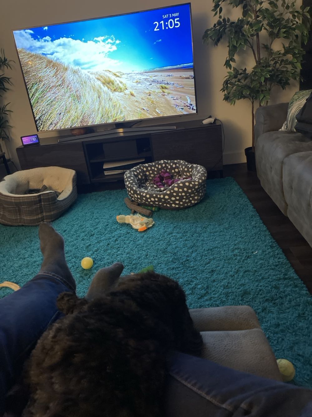 Hard Truth & Cinnamon & Toasted Coconut Rum & Peanut Brittle