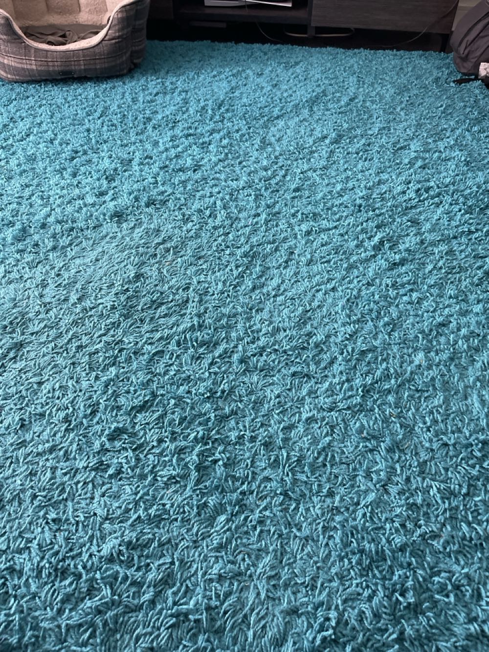 Camus - Borderies XO