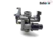 Brandy, Maraska Slivovitz Plum (Rakija)