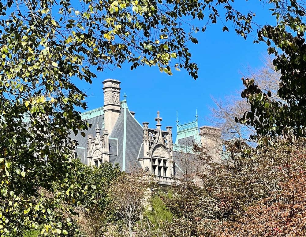 Wicked Weed Daylight American Light Ale - Wicked Weed Brewing, Ashville alcohol collectible - Main Image 3