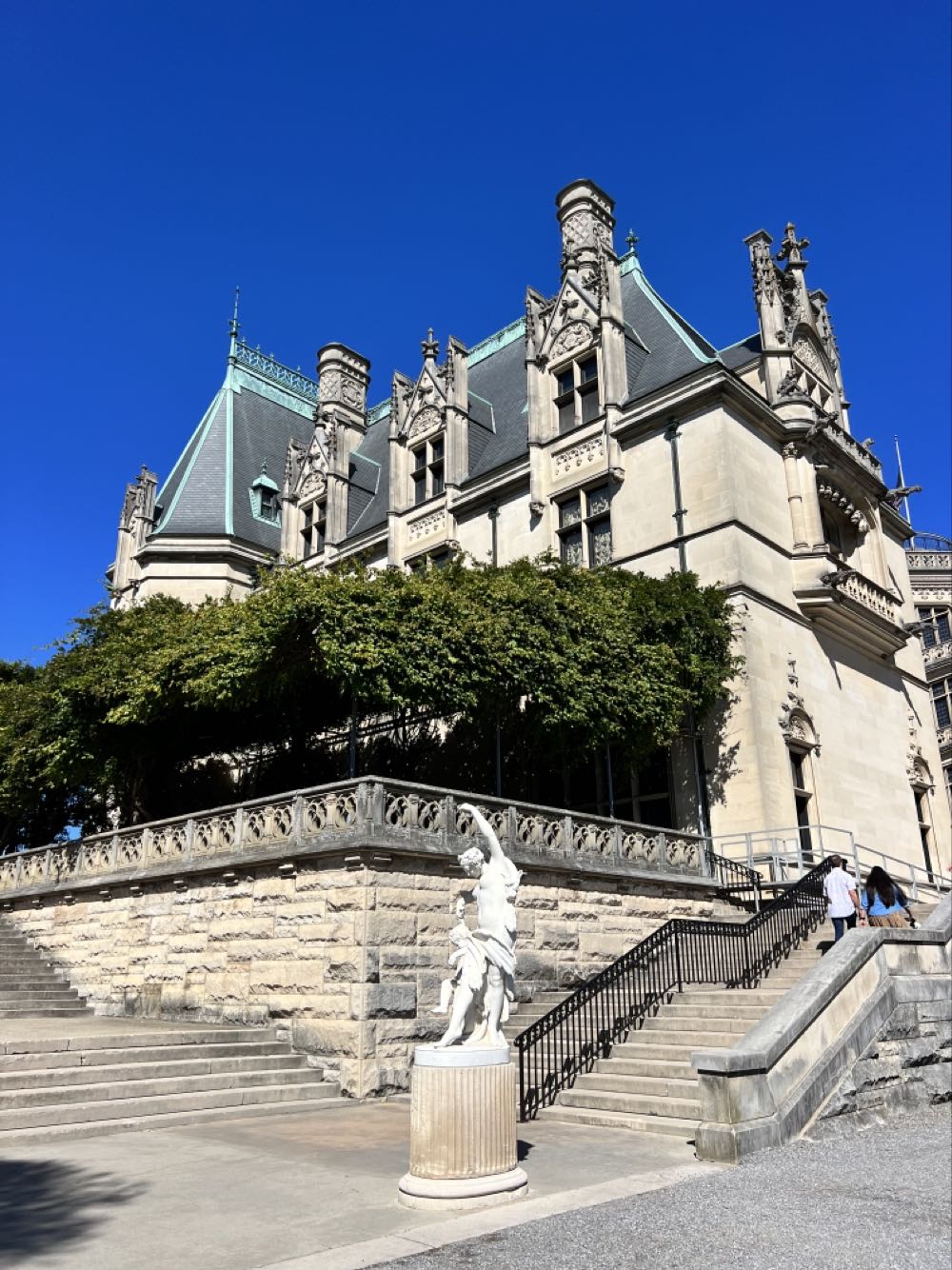 Wicked Weed Pernicious IPA - Wicked Weed Brewing, Ashville alcohol collectible - Main Image 3