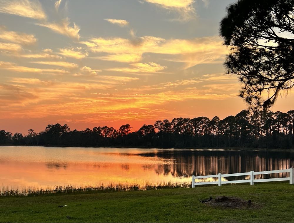 Heretic Brewing Make America Juicy Again IPA - Heretic Brewing Company, Fairfield alcohol collectible - Main Image 2