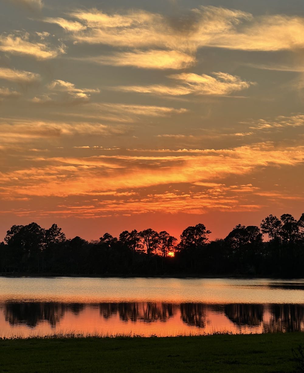 Heretic Brewing Make America Juicy Again IPA - Heretic Brewing Company, Fairfield alcohol collectible - Main Image 3