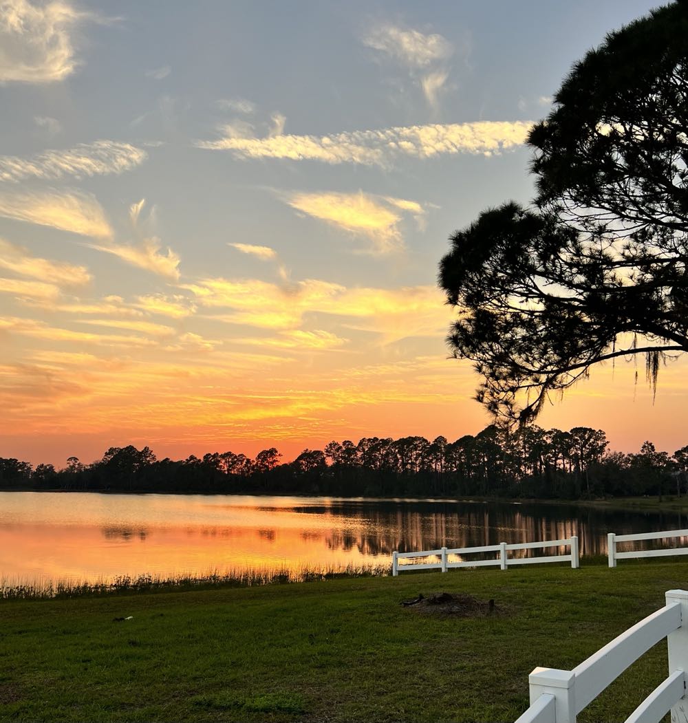 Heretic Brewing Make America Juicy Again IPA - Heretic Brewing Company, Fairfield alcohol collectible - Main Image 4