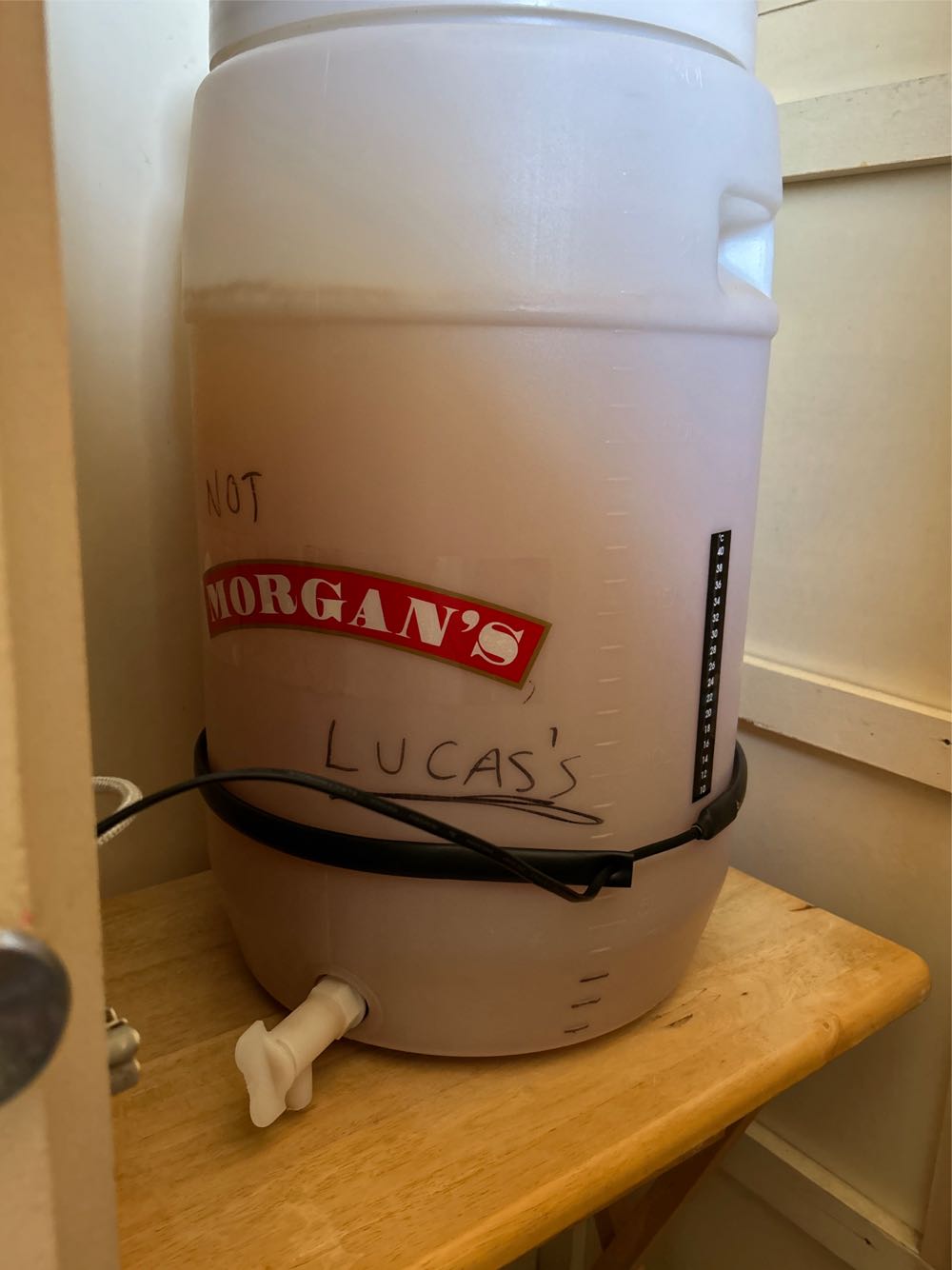 Midleton Very Rare Dair Ghaelach Kylebeg Wood Tree No. 3 Irish