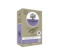 Masi Costasera Amarone Classico