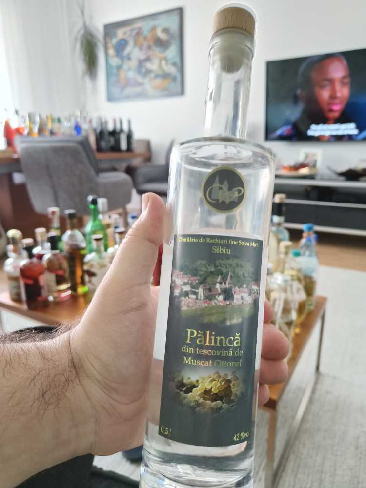 Finest Call Blue Curacao Flavored Syrup