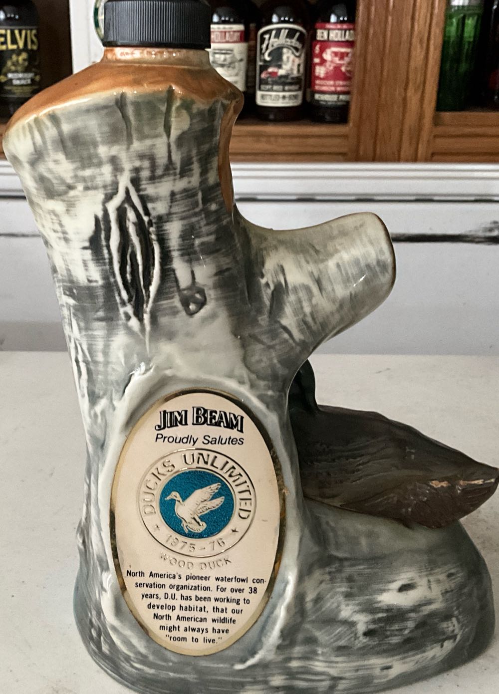 Annabelle Comes Home