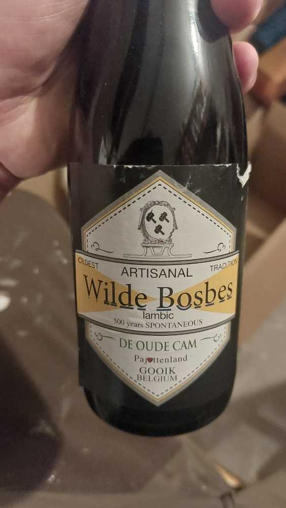 Brinley Gold Shipwreck