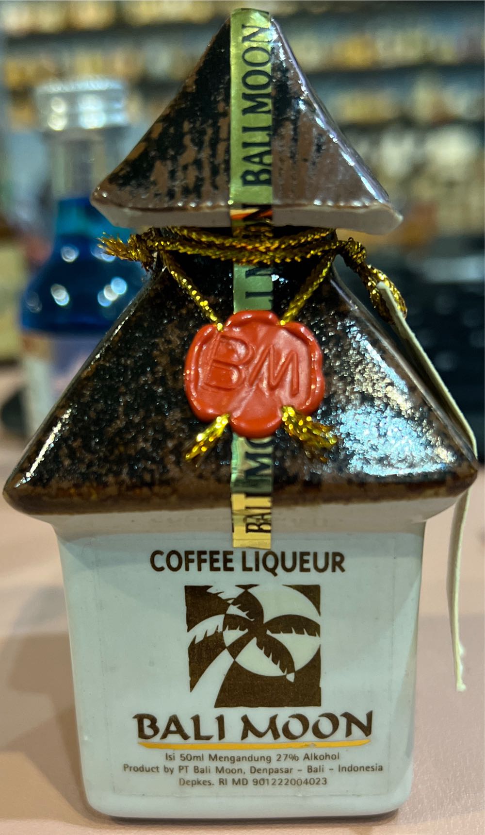 2023 Ltd Ed Holiday Stein