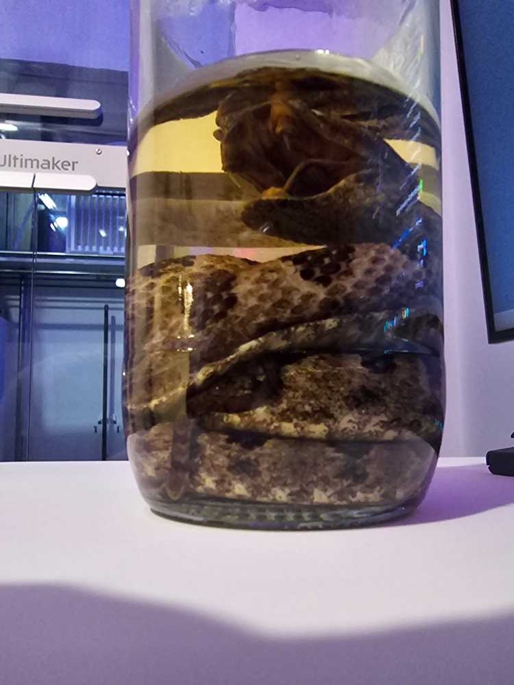 Nanto Okuman Chojya - The Nantou Distillery (500 mL) alcohol collectible - Main Image 2