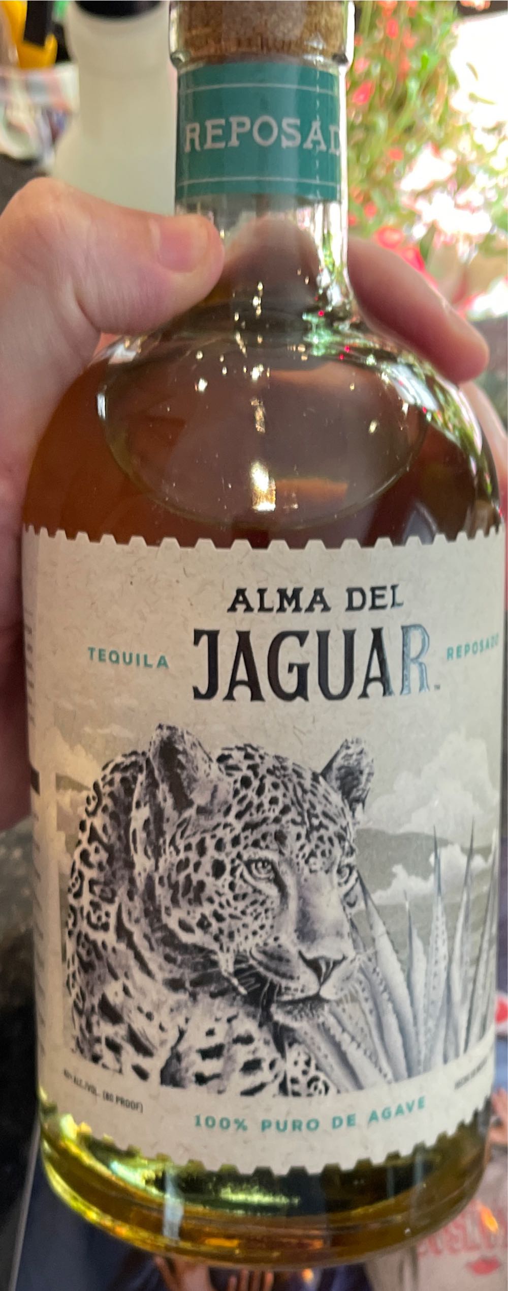 Koukoudo Premium Mastic Liquer