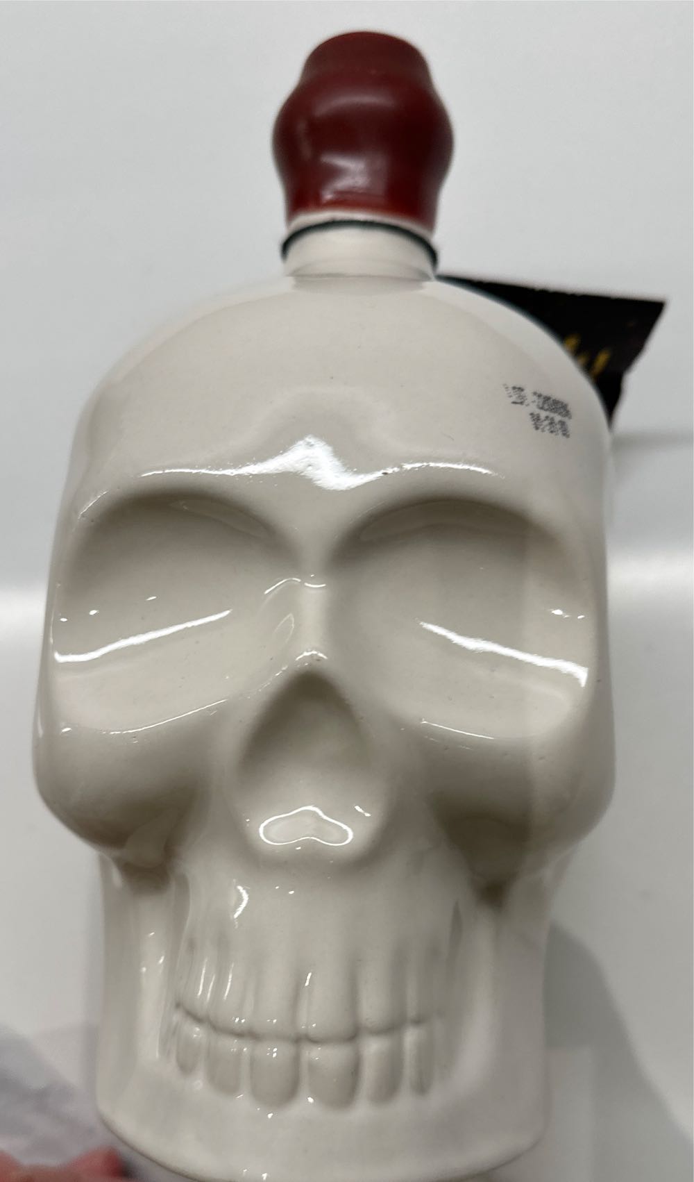 Rocket Raccoon and Groot