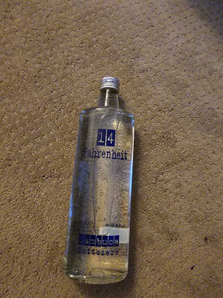 Dogfish Head Citrus Squall Double Golden Ale