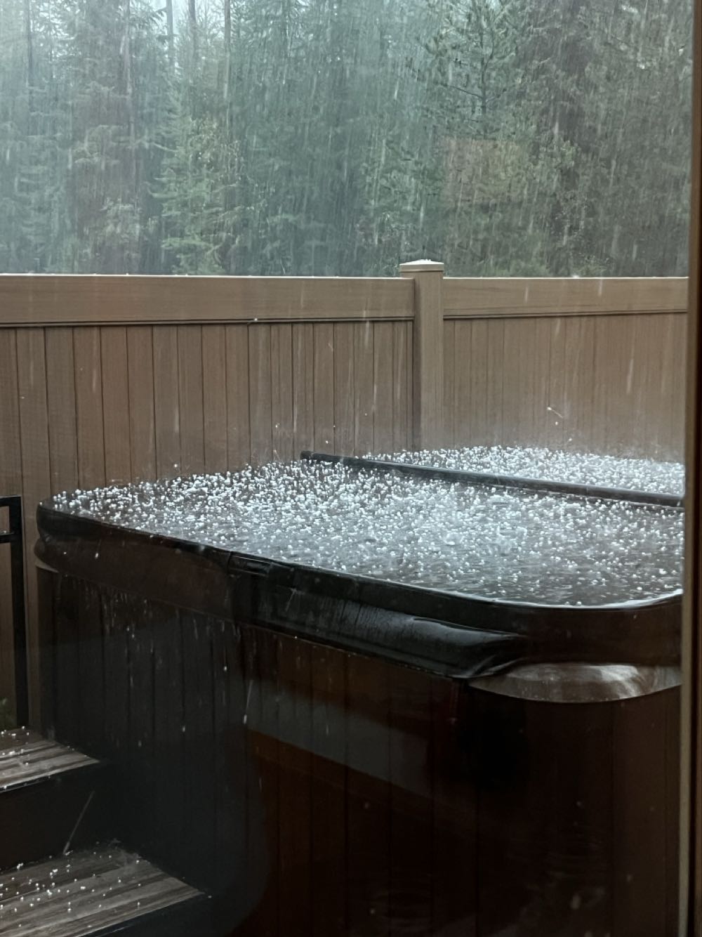 Sacred Waters Old Steel Bridge Pale Ale - Sacred Waters Brewing, Kalispell alcohol collectible - Main Image 3