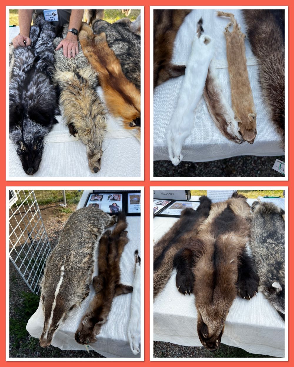 Back Slope Crooked Wind IPA - Back Slope Brewing, Columbia Falls alcohol collectible - Main Image 4