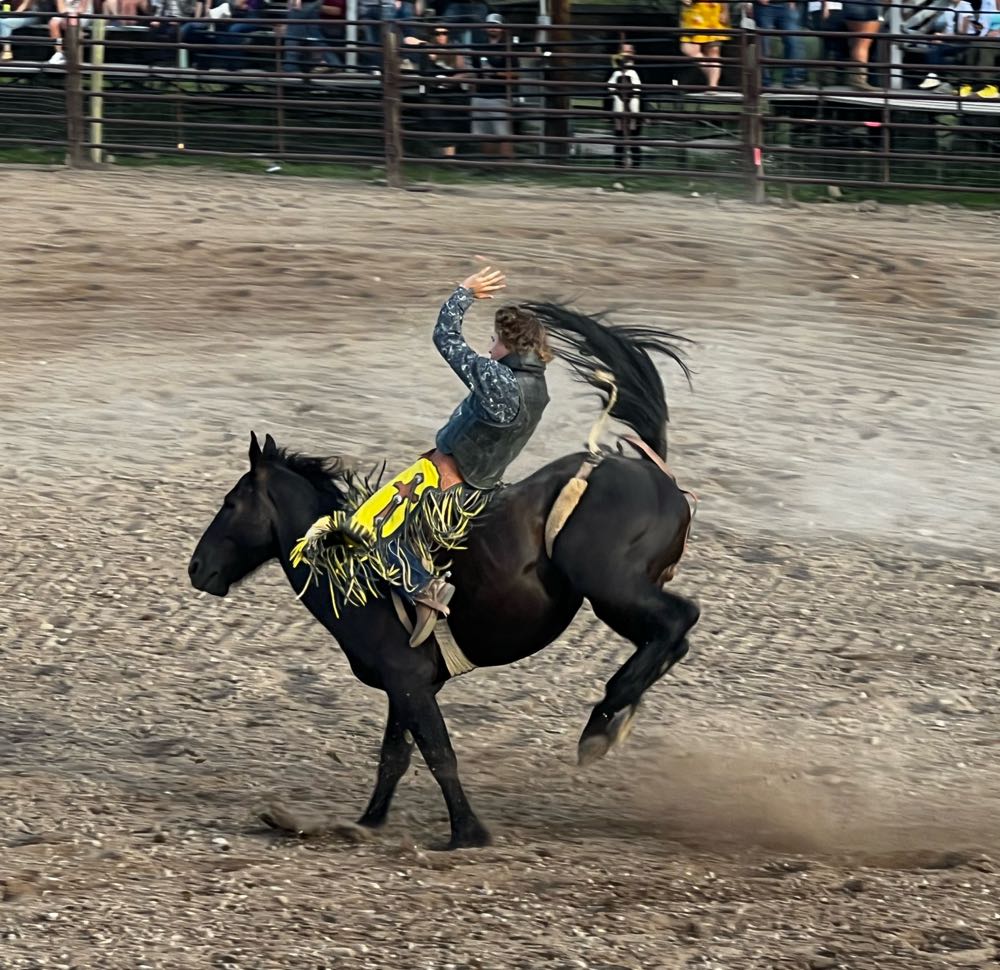 Great Northern Wheatfish Wheat Ale - Great Northern Brewing Company, Salt Lake alcohol collectible - Main Image 4