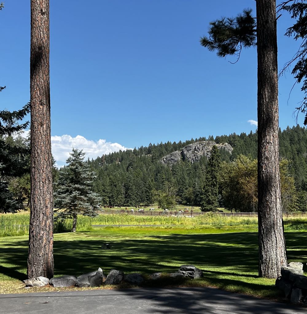 Bias Brewing Kolsch - Bias Brewing, Kalispell alcohol collectible - Main Image 4