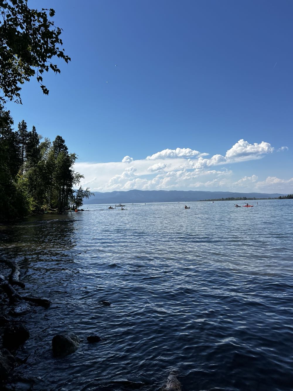 Stone Brewing Xocoveza - Stone Brewing, Escondido alcohol collectible - Main Image 3