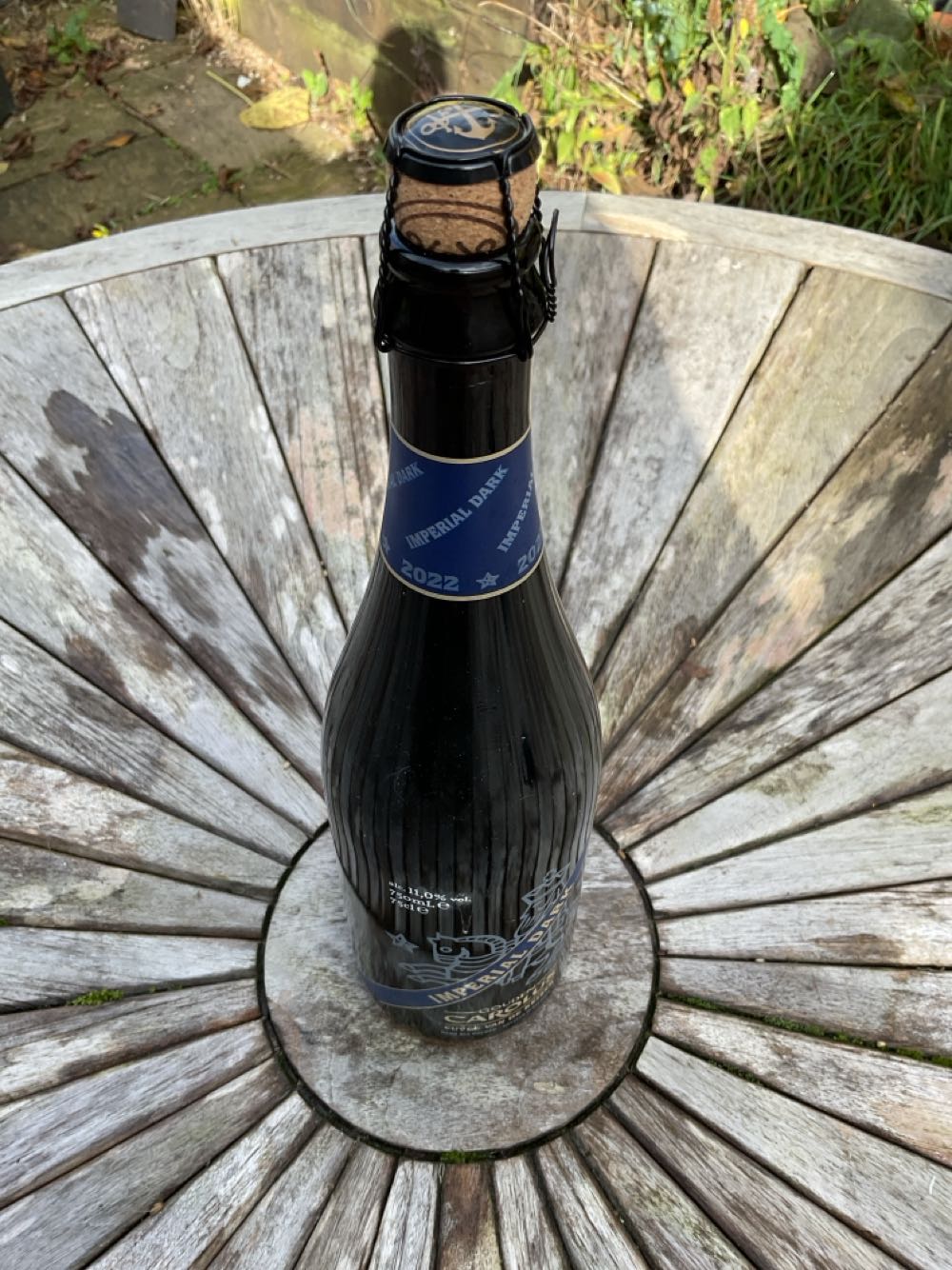 Dreaming Creek Natural Bridge IPA