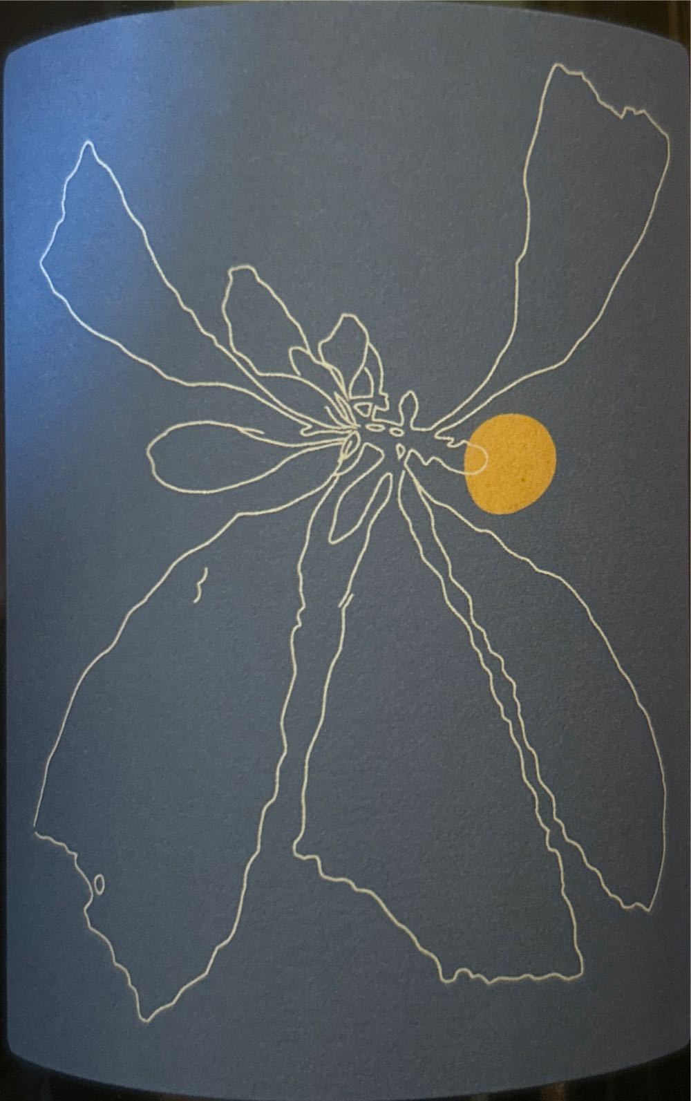 Absolut - Grape, Dragonfruit And Papaya Vodka - San Francisco 