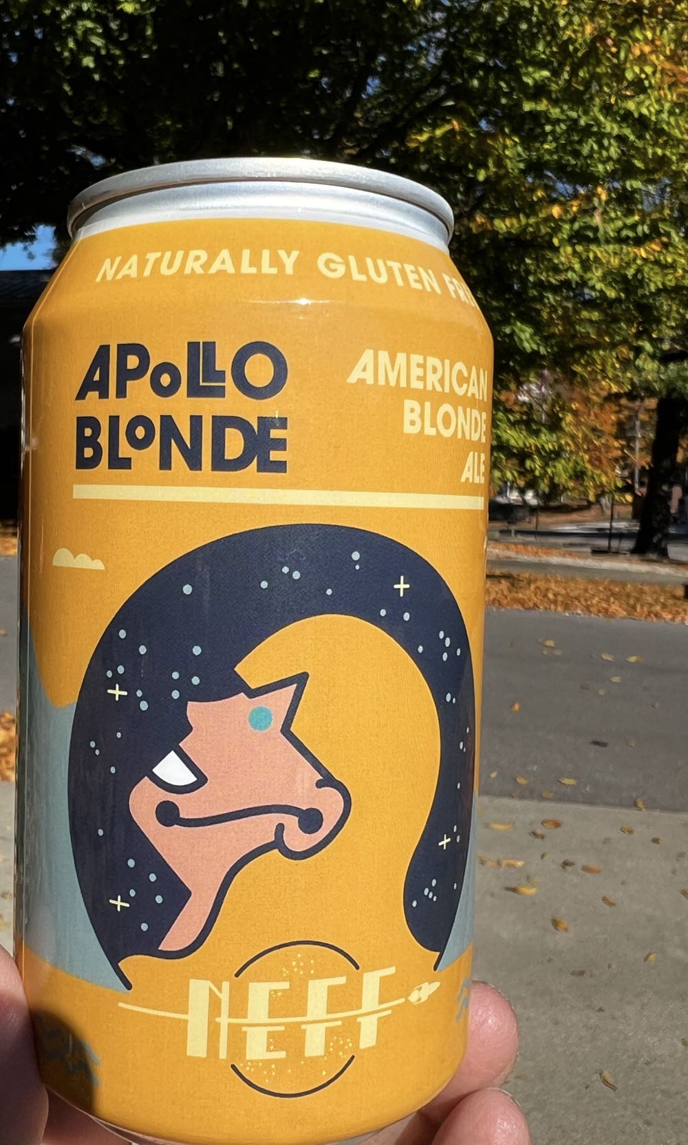 Nikka Yoichi 10 Year Old Single Malt Whisky 750ml Japanese