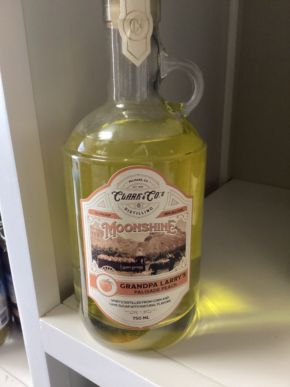 Mendocino Music Festival