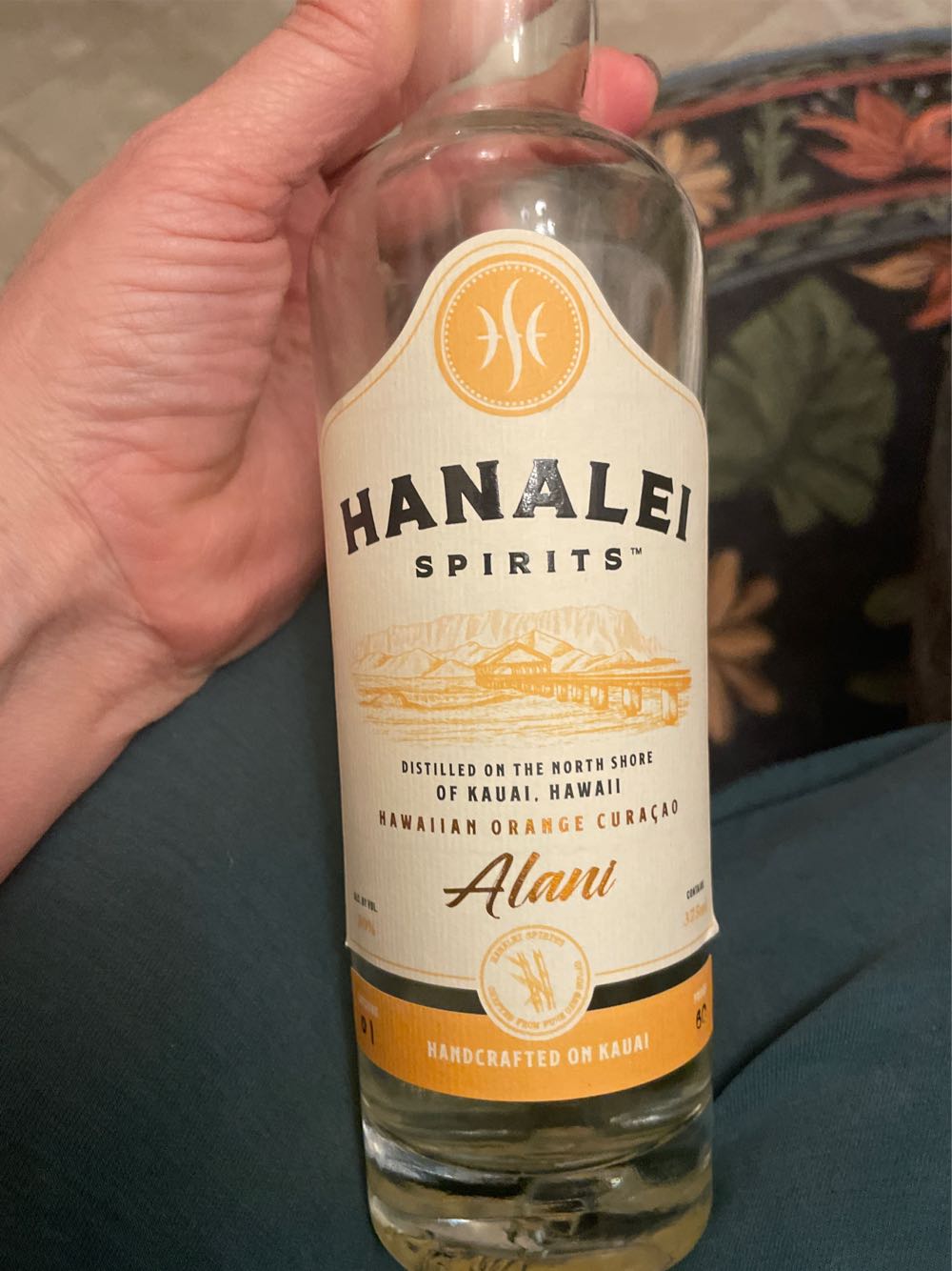 Mendocino Music Festival