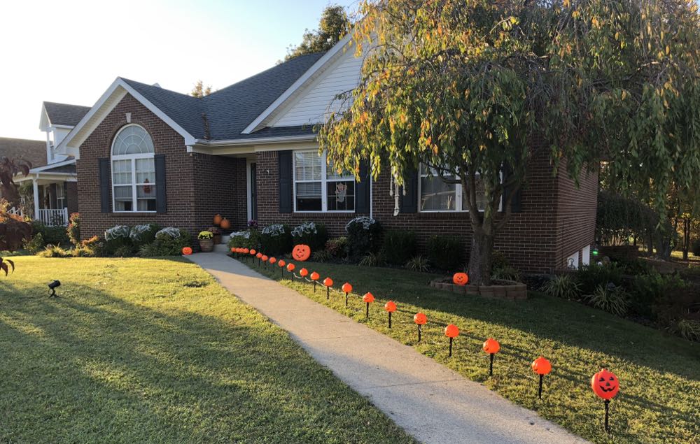 Gallant Fox Bullit Light Lager - Gallant Fox Brewing Company, Mount Washington alcohol collectible - Main Image 4