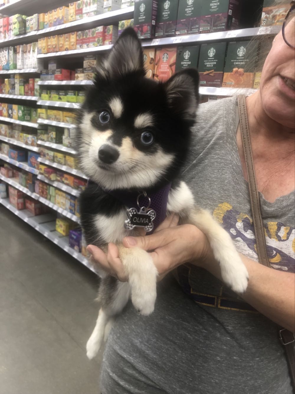 flor de cana 130th anniversary