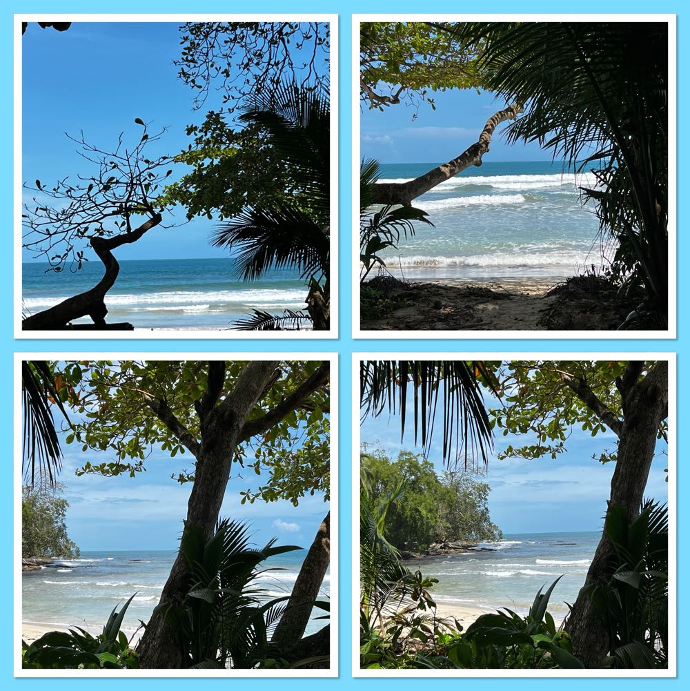 Cerveceria Costa Rica Bavaria Light - Cerveceria Costa Rica, San Jose alcohol collectible - Main Image 2