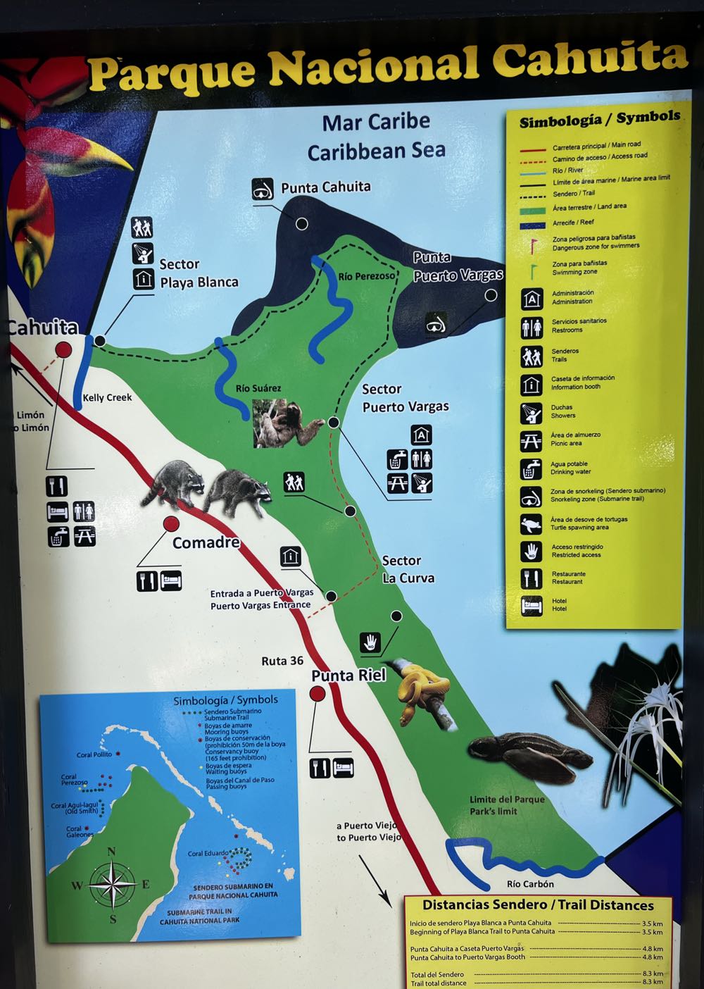 Cerveceria Costa Rica Imperial Original  - Cerveceria Costa Rica, San Jose alcohol collectible - Main Image 4