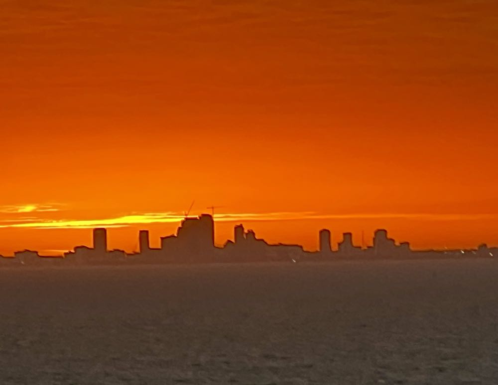Carnival Thirsty Frog Caribbean Wheat Ale - Carnival Cruise Line, Lakeland alcohol collectible - Main Image 3