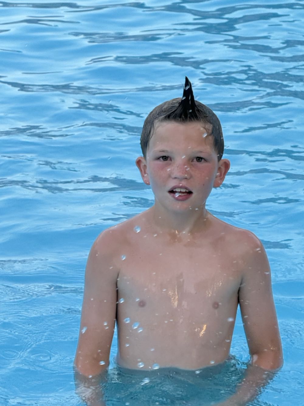 Skin Gin Tea Kiss 42% Vol. Edition German 05l Kiss 05 Liter