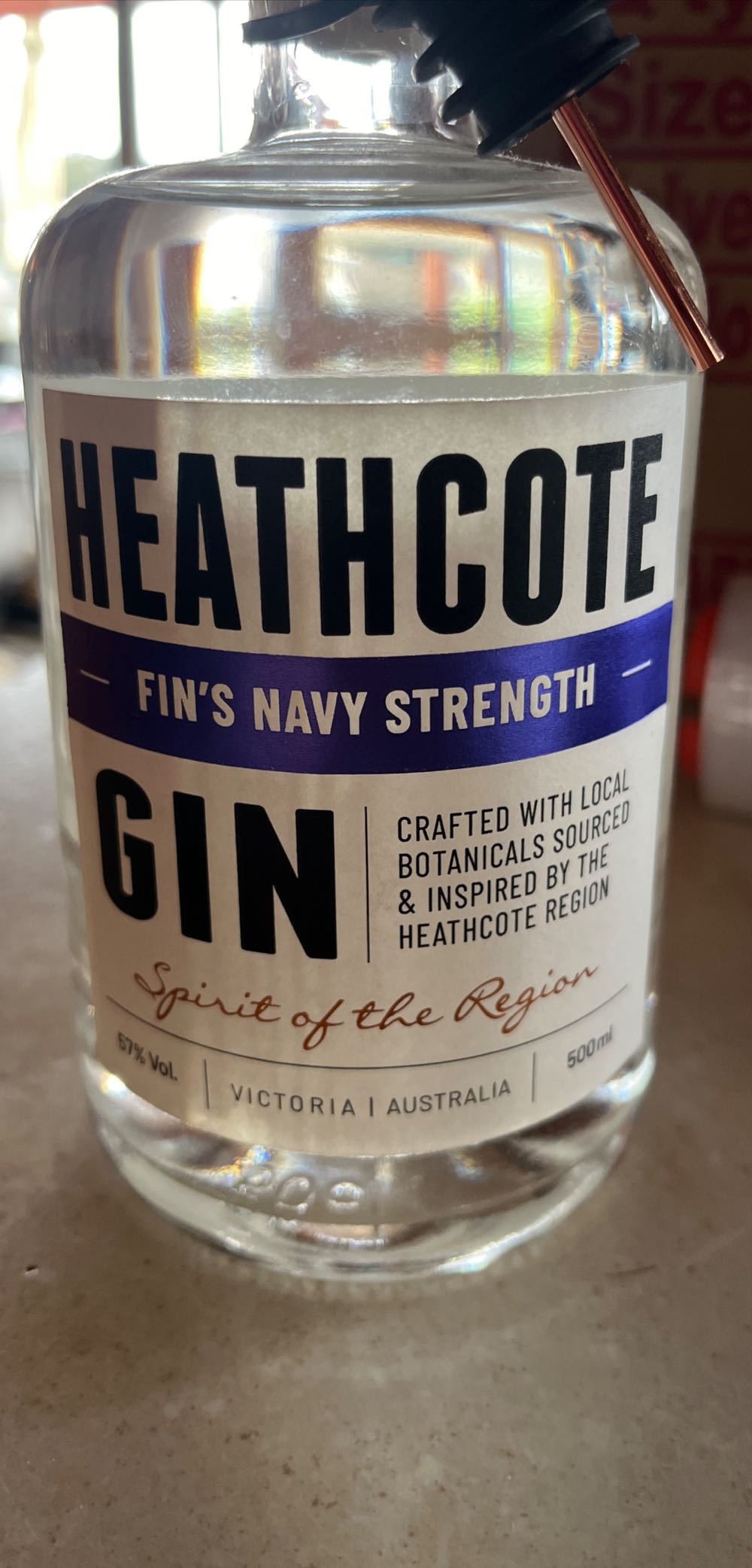 Black Bear Oso Negro