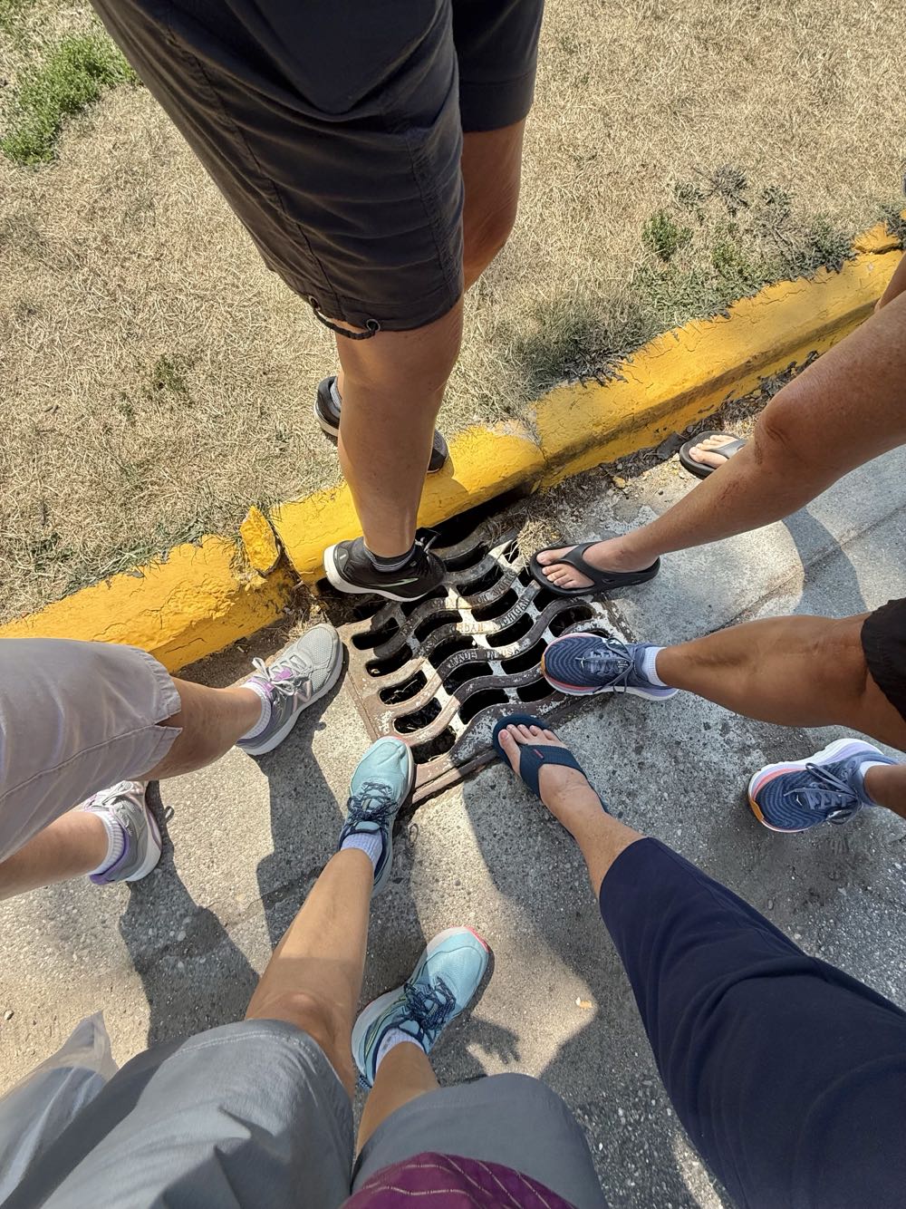 Mitten Mango Gold - Mitten Brewing Company, Grand Rapids alcohol collectible - Main Image 3