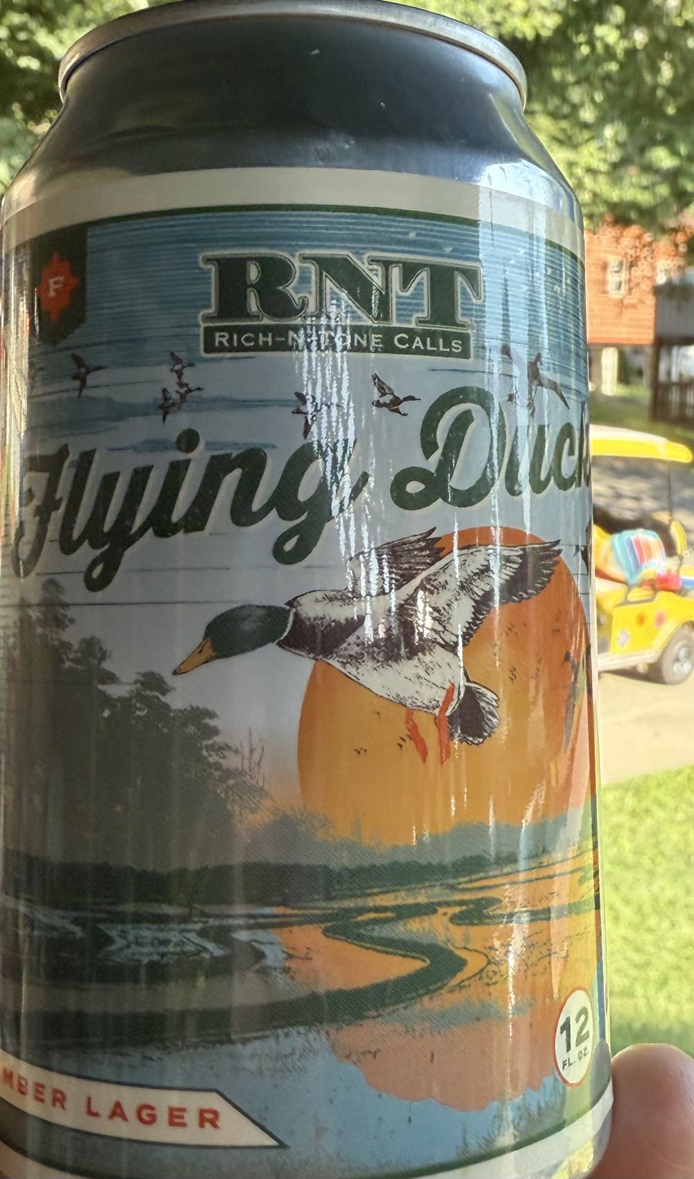 氷結 年6月17日限定発売 缶チューハイ 酎ハイ チュウハイ 350ml