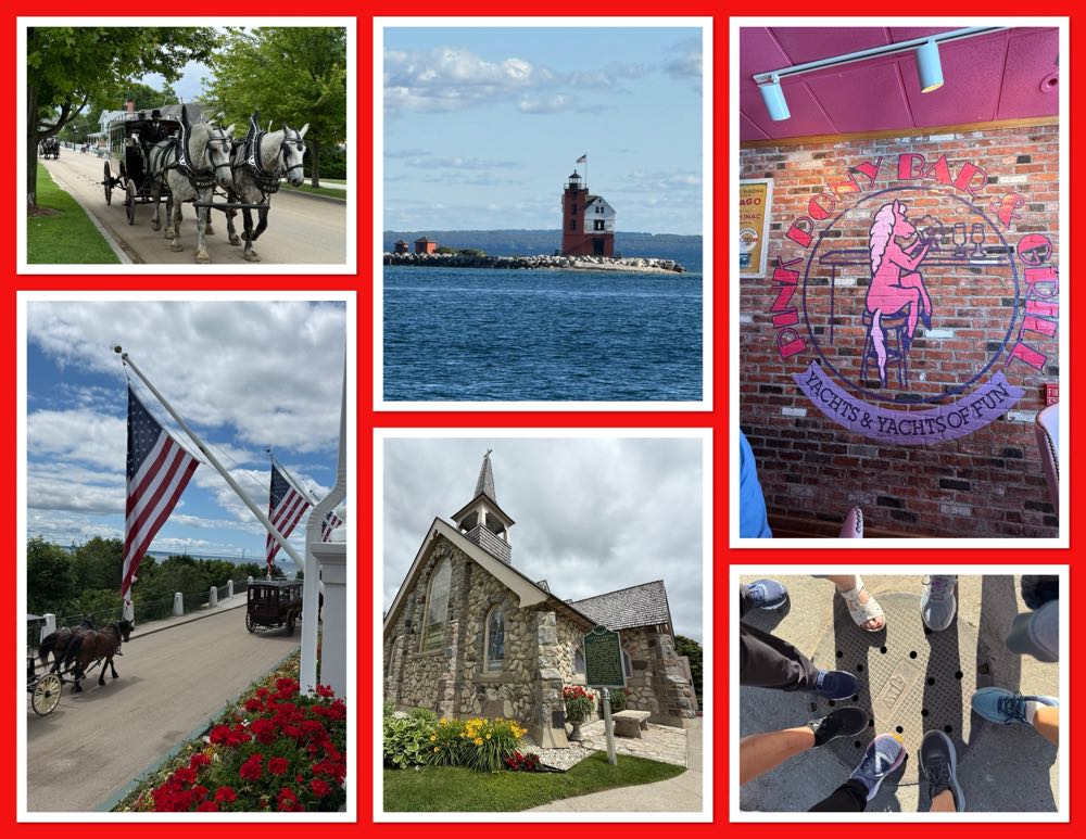 Mountain Town Pink Pony Blonde Ale - Mountain Town Brewing Company, Mount Pleasant alcohol collectible - Main Image 3